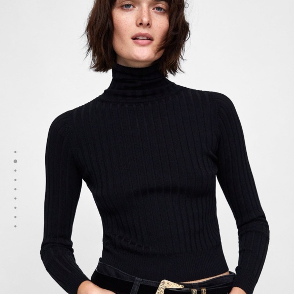 Zara Ribbed Black Knit Turtleneck sweater